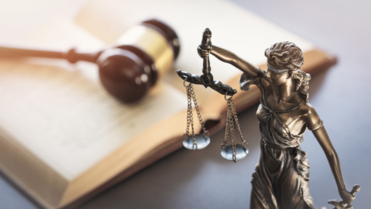 Legal Cases